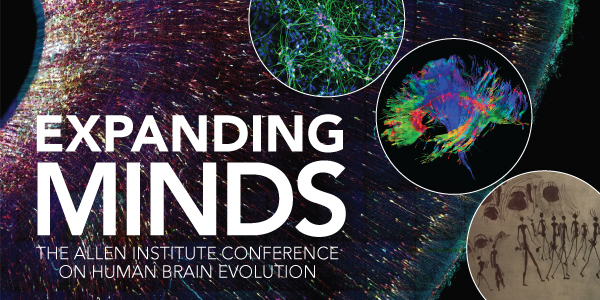 DrKathyRichmond's tweet photo. Fascinated by #HumanBrainEvolution? Interested in presenting a talk or a poster @AllenInstitute? Click the link below to apply and register for this April 2020 meeting! https://t.co/Kx7rHFNA51 https://t.co/61pvRwvnVf