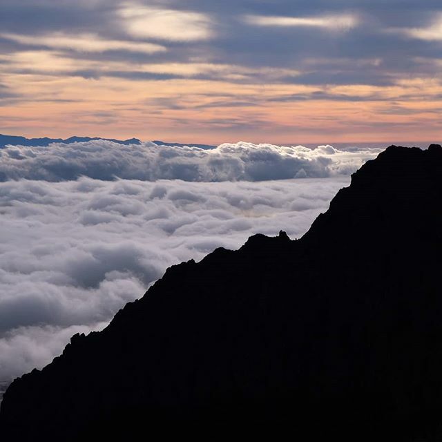 Guidiary's tweet photo. Sunrise on Tenerife.

#tenerife #sunrise #abovetheclouds #mountains #canaryislands https://t.co/G7A6lyRg2V https://t.co/CY6dYHSWlL