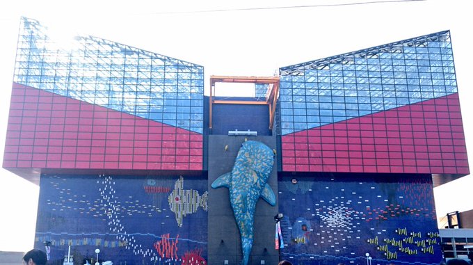 海遊館のtwitterイラスト検索結果 古い順