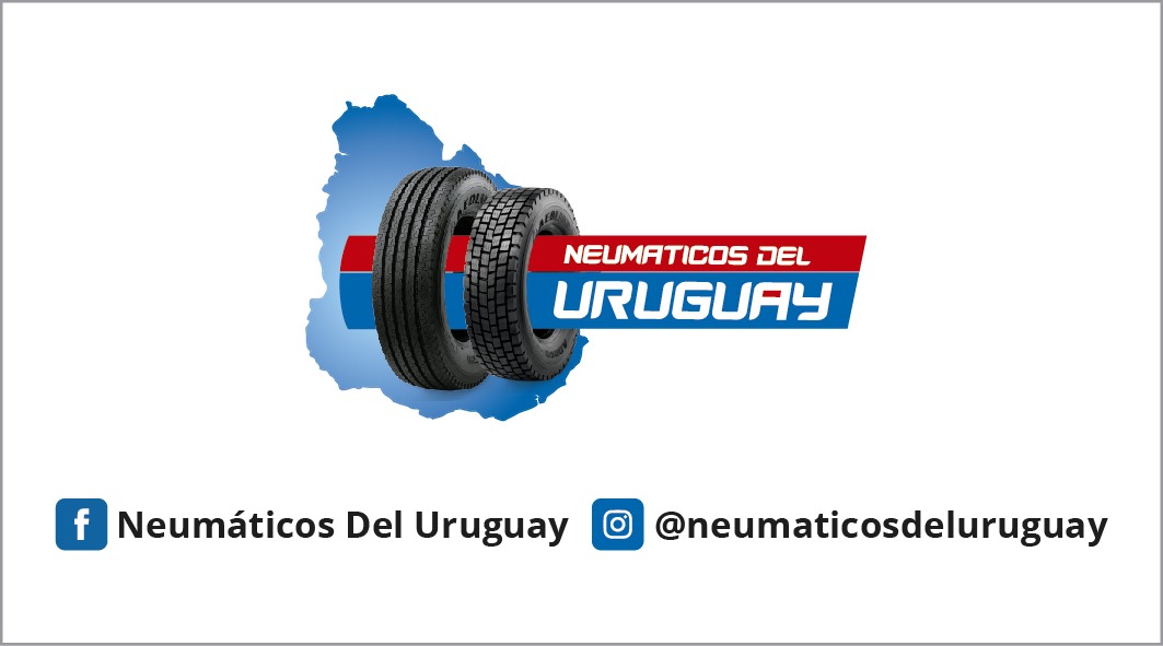 NeumaticosdelU's tweet image. 