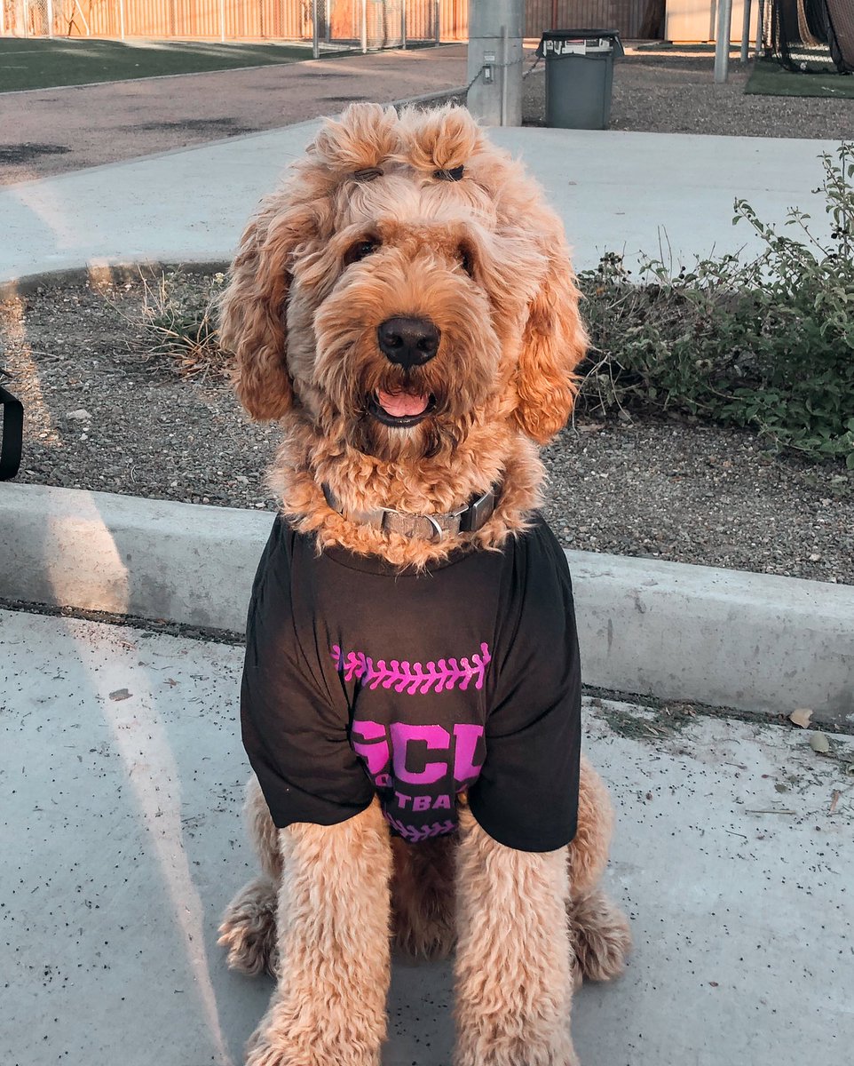 Thank you to everyone who came to the winter camp over the weekend! Oso hopes to see you all again next year! 🤘 #LopesUp