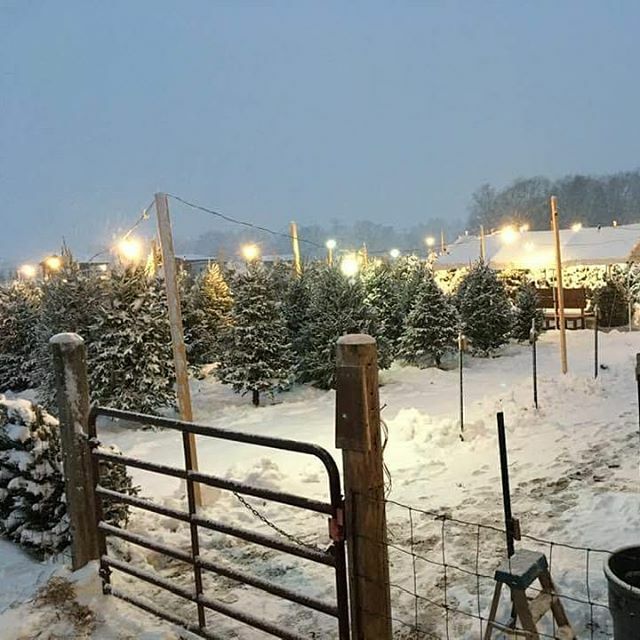 pineyacresfarm's tweet photo. Talk about a classic setting. 
The snow makes it 100% lovely. 
Come on out plenty of trees left. https://t.co/Ah65RYYJZC