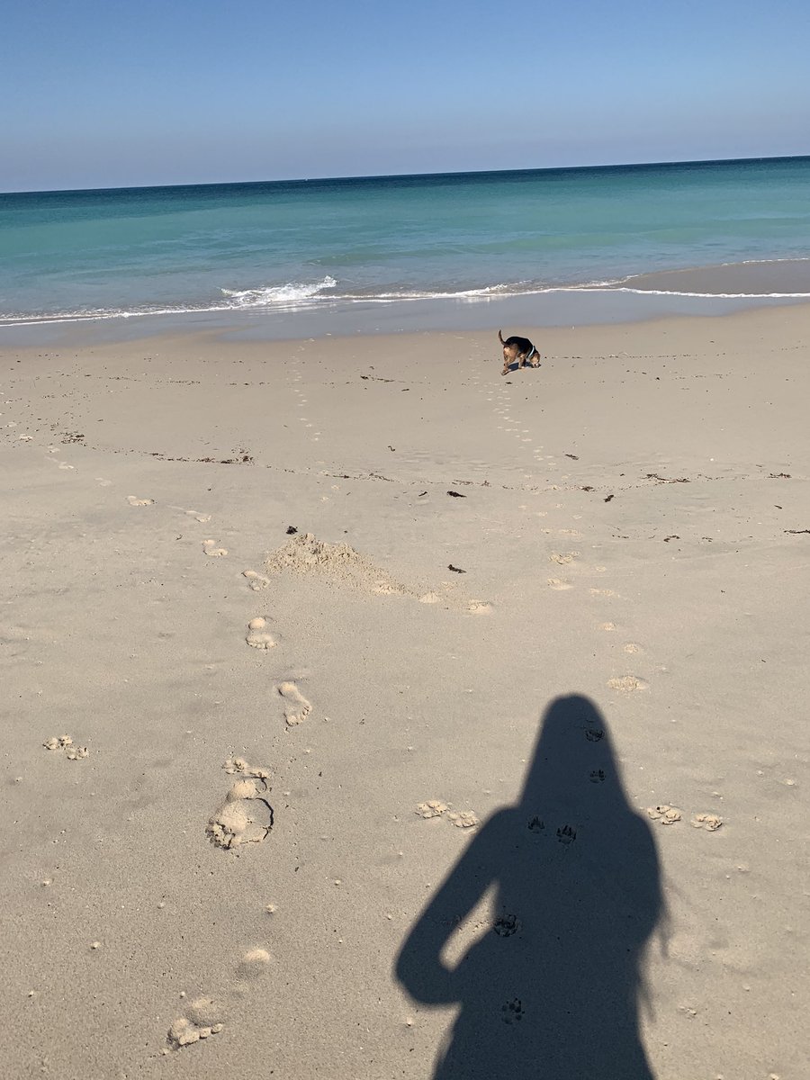 🏖