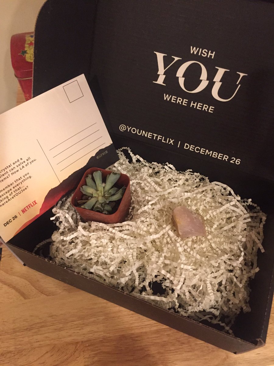 HoyOyBoy's tweet photo. Thanks @gofooji @YouNetflix #YouNetflix #RIPBeck https://t.co/Dj621f2VAO