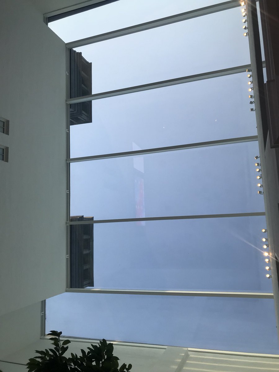 earthbeingalch's tweet image. Biophilic design incorporates natural materials, natural light, vegetation, nature views and other experiences of the natural world into the modern built environment. Loving the #AppleCarnegieLibrary vibe. 

📲🌍🌿 #UrbanNaturalite