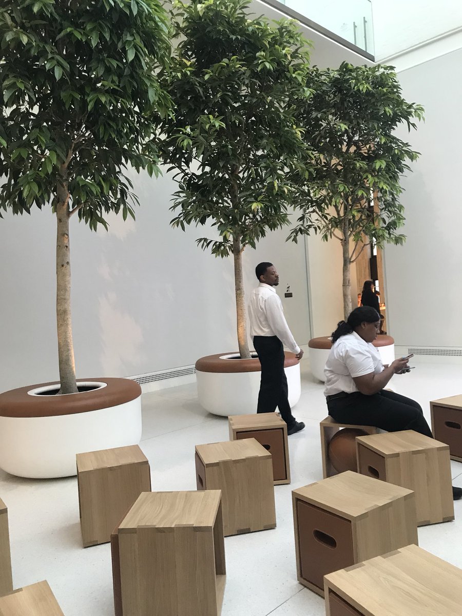 earthbeingalch's tweet image. Biophilic design incorporates natural materials, natural light, vegetation, nature views and other experiences of the natural world into the modern built environment. Loving the #AppleCarnegieLibrary vibe. 

📲🌍🌿 #UrbanNaturalite