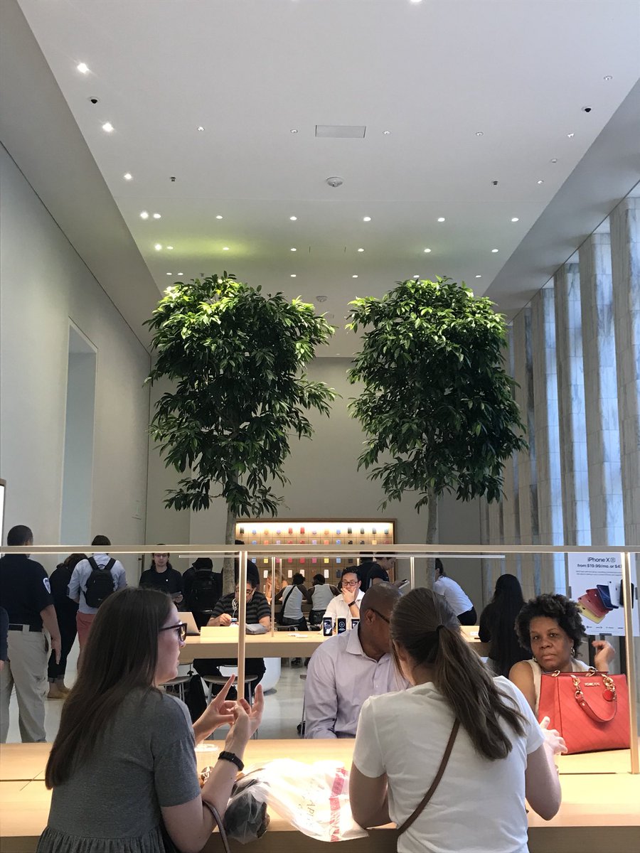 earthbeingalch's tweet image. Biophilic design incorporates natural materials, natural light, vegetation, nature views and other experiences of the natural world into the modern built environment. Loving the #AppleCarnegieLibrary vibe. 

📲🌍🌿 #UrbanNaturalite