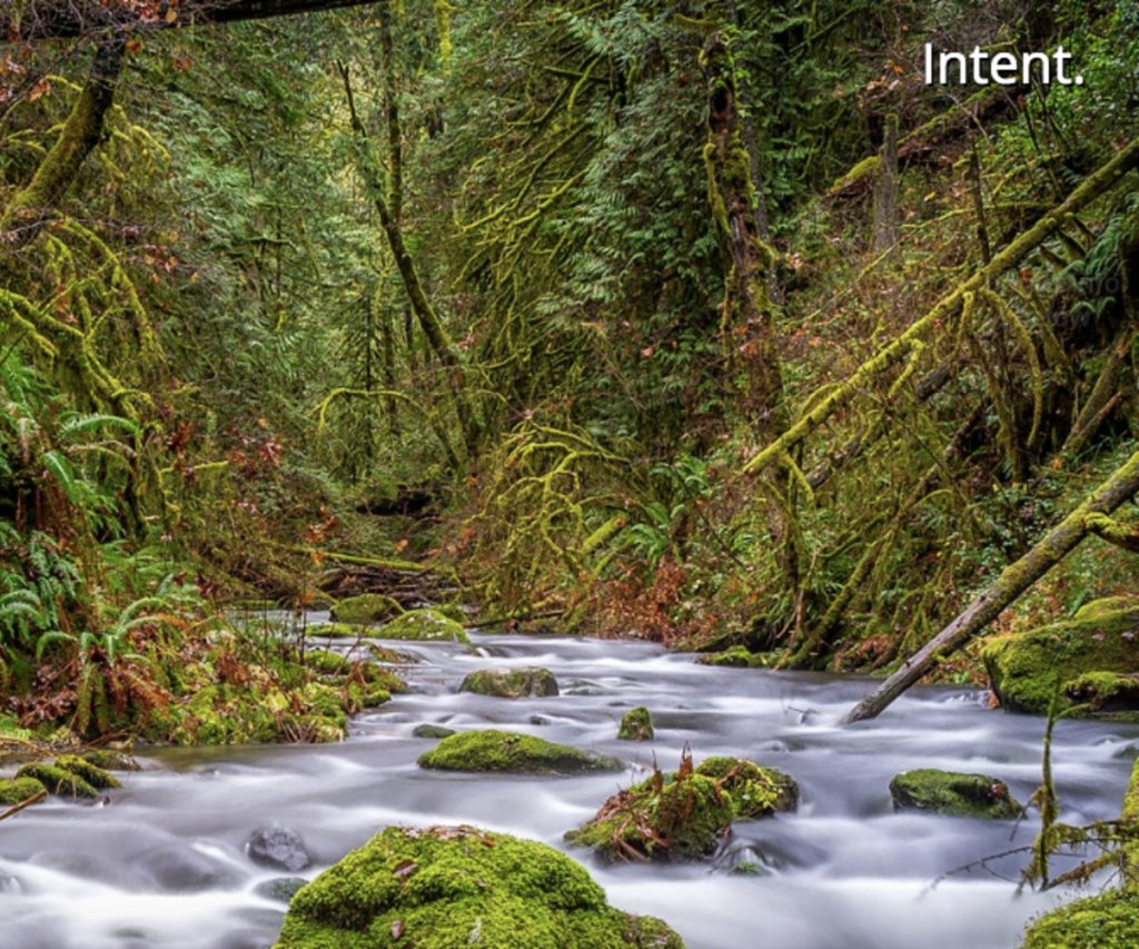 toolsandnotions's tweet photo. A great #Chrome extension for more mindful #internet use 
https://t.co/GNdwnYLRj9
#plugin #mindfulness https://t.co/gPLZTruSFb