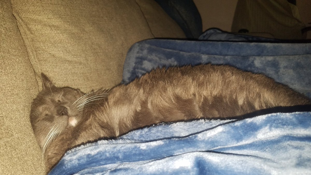 My friends: Aye Nick what are you doing this weekend?                                                                My friends: Hello?                                                      Me: