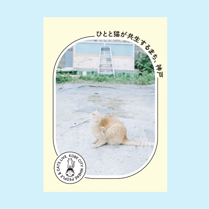 神戸市の動物愛護支援事業でふるさと納税がどの様な取り組みに使われているかを紹介する冊子「ひとと猫が共生する街、神戸」のスタートアップのディレクションとイラストを担当しました。 