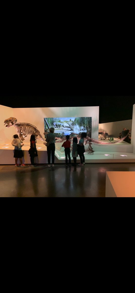 PatNeffRoom126's tweet photo. Exploring the halls of @hmns #FieldTrip #HISDEmpowers https://t.co/0JAY3LPmdp