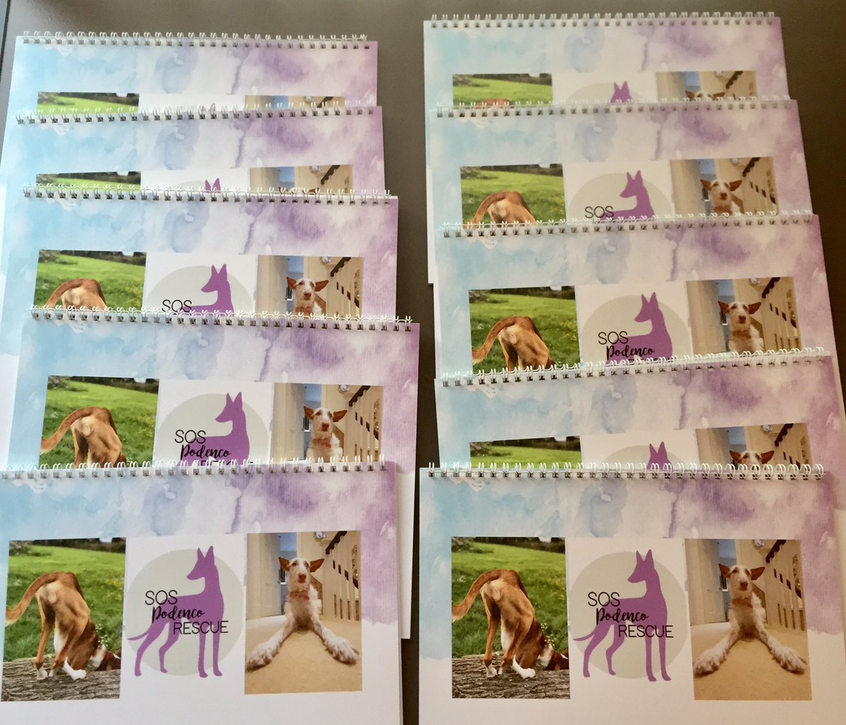Last few calendars available! £13 plus postage 😊
#Calendar #calendar2020 #xmaspressie #stockingfiller #charity #fundraising #podenco #sospodencorescue