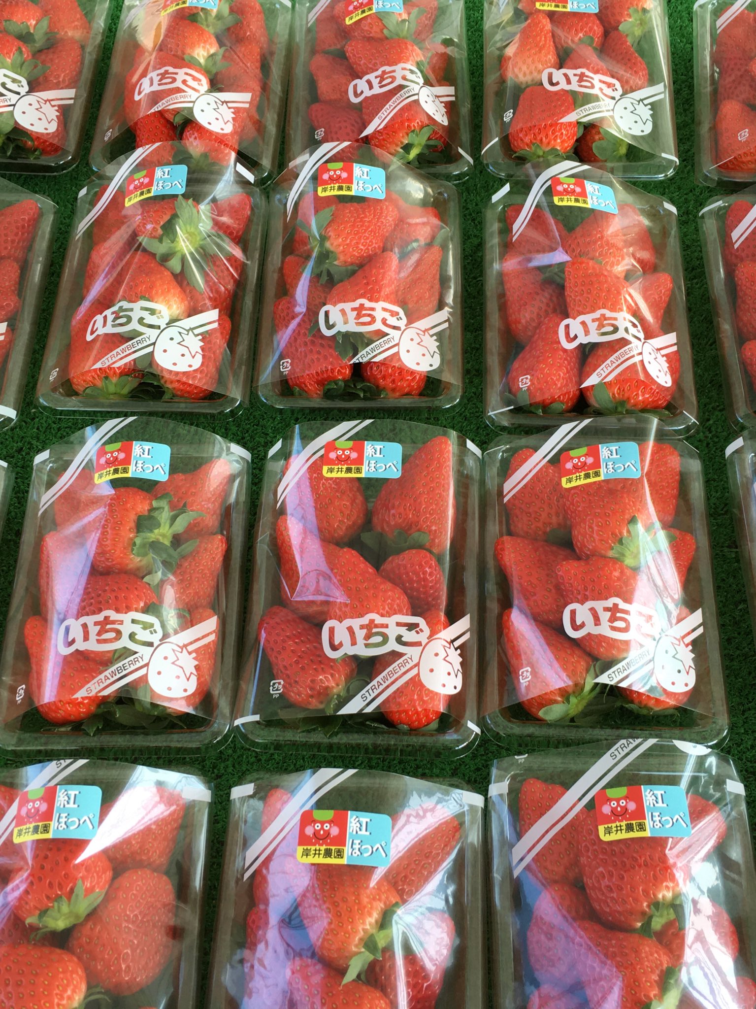 岸井農園 10 00から直売スタートです 紅ほっぺ あきひめ こいみのり 3種類販売です 農園 いまだに整地中なので 足元が悪いです お気をつけてお越しください いちご いちご狩り 埼玉県 上尾市 あきひめ 紅ほっぺ こいみのり