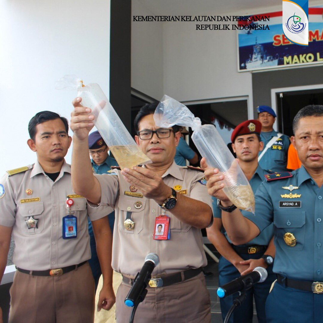 2. Di sisi lain, penyelundupan benih lobster untuk diekspor ke luar negeri juga marak terjadi sehingga dikhawatirkan dapat mengganggu keberlanjutan ekosistem lobster di alam. 

#LindungiLobsterKita