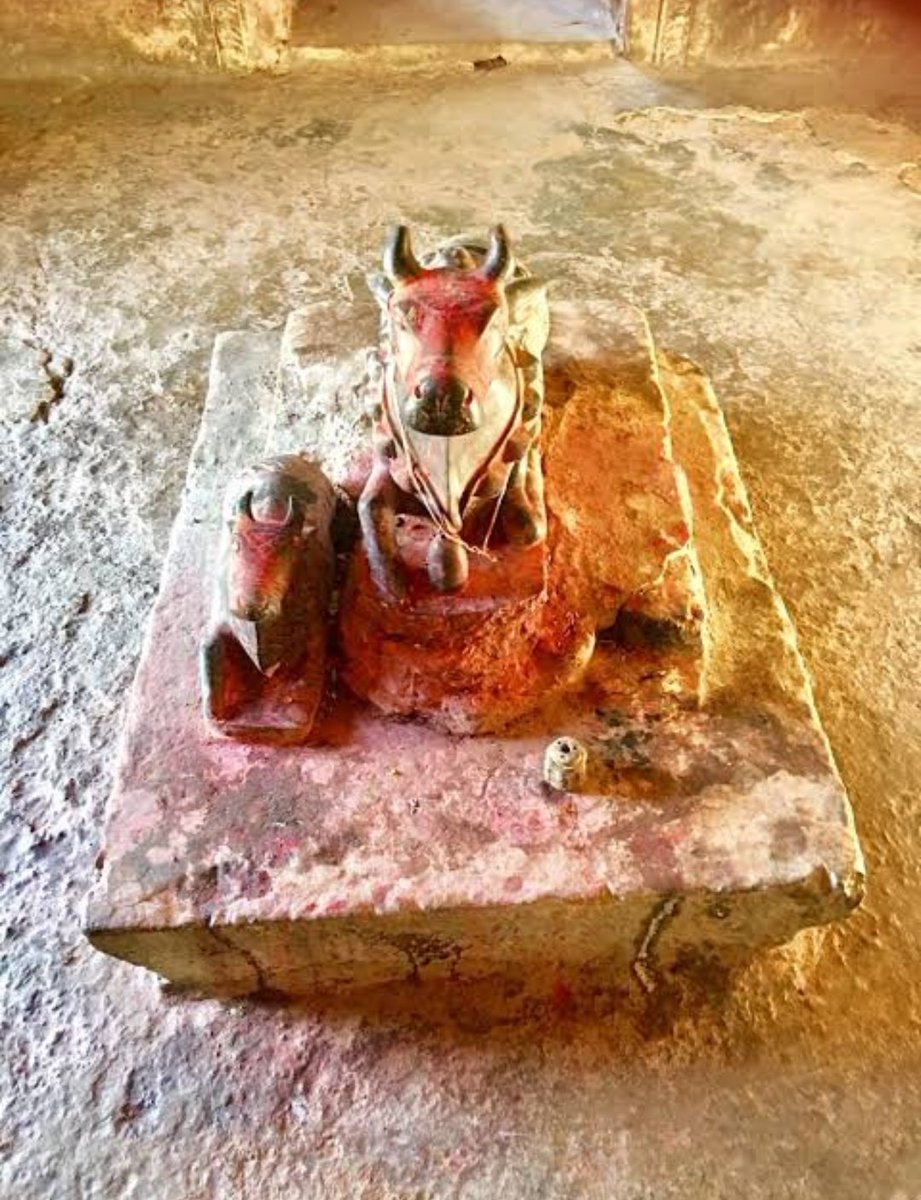 He will always roam alone like an apparition without getting any affection and sympathy till the end of Kaliyuga.  He will have neither any settlement nor any cordiality. He will live alone from the society. Never meet and talk with anyone meaning totally isolated from the world.