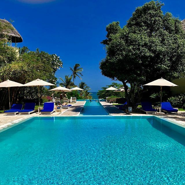 Who’s excited for Christmas at the beach this year! 💛 ift.tt/36LEFBl