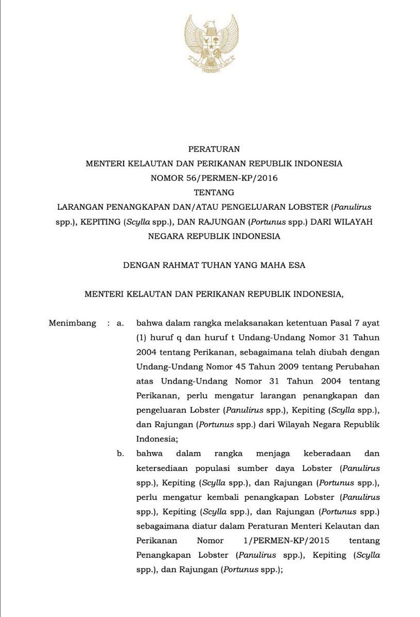 kkpgoid's tweet photo. 4. Kebijakan yang tengah dikaji terutama berkaitan dengan pemanfaatan benih lobster hasil tangkapan di alam, dengan mengatur ulang perdagangan benih lobster dan rencana pengembangan teknologi pembesaran benih lobster hingga ukuran konsumsi di dalam negeri.

#LindungiLobsterKita https://t.co/WM9FGK4uM2