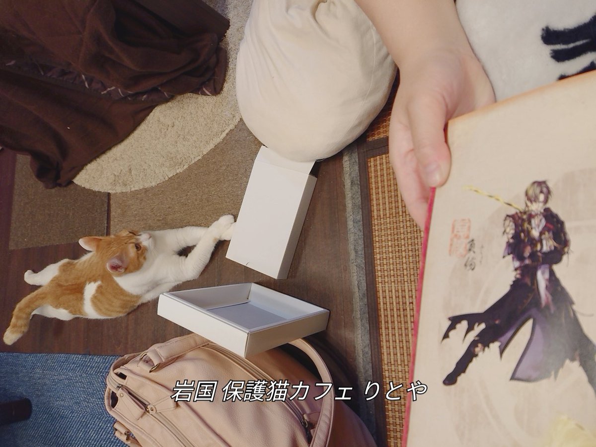 Cherry Sakura絵里 A Twitteren 審神者福岡旅 侍展のプリクラ2種類 天神の刀剣乱舞ストア 岩国市にある審神者オーナーさんの保護猫カフェ 遠征ついでに 狐ヶ崎の太刀と稲葉江を見に行きました Cherry Sakura絵里 A Twitteren 審神者福岡旅 侍展のプリクラ2種類 天神の刀剣乱舞ストア 岩国市にある審神者オーナーさんの保護猫カフェ 遠征ついでに 狐ヶ崎の太刀と稲葉江を見に行きました