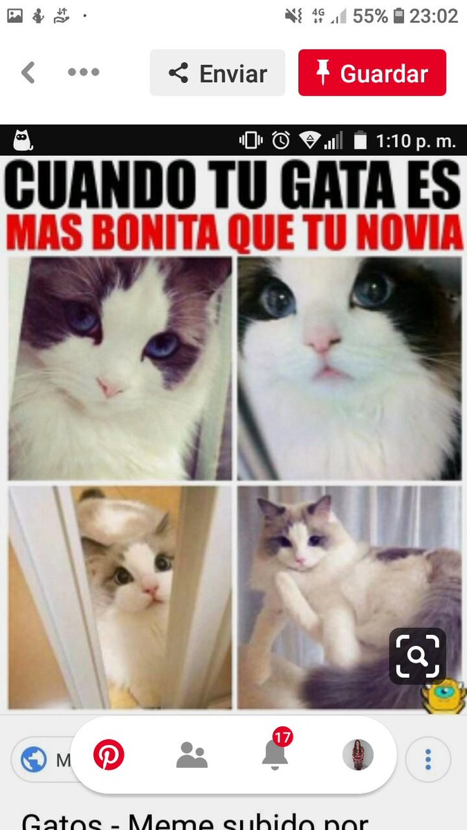 #memes #memesespanol