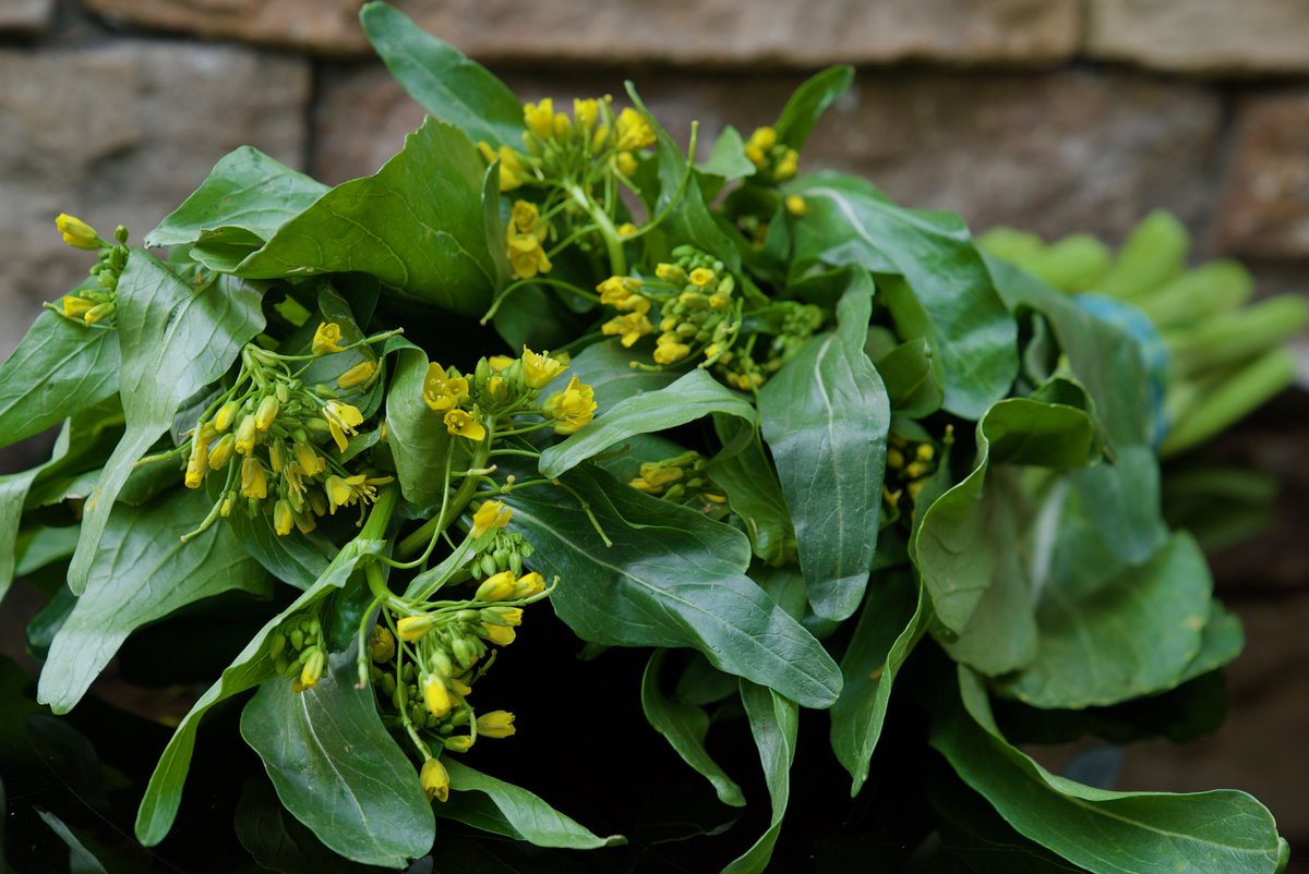 SpecialtyProduce App tweet media