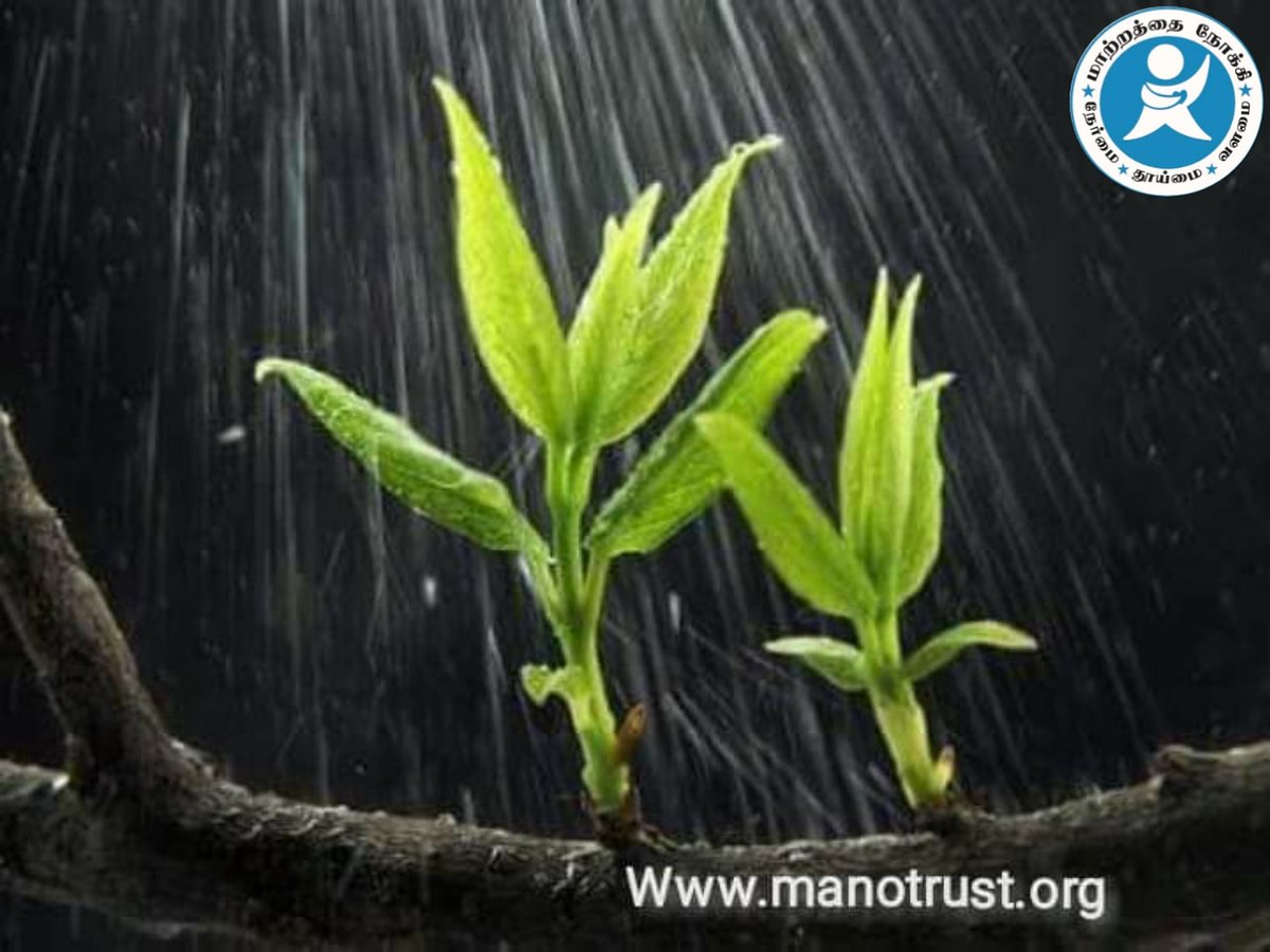MaNo_trust's tweet photo. ஓசோனில் ஓட்டையாம்
அடைக்க தெரிஞ்சவன் 
சொல்லுறான் மரத்த வளர்க்கனும்ன்னு.
.
புரிஞ்சா மரம் வையுங்க"
புரியலனாலும் மரம் வையுங்க!  pls.
.
மாற்றத்தை நோக்கி.......
#maattrathainokki https://t.co/vbqiBSHDEC