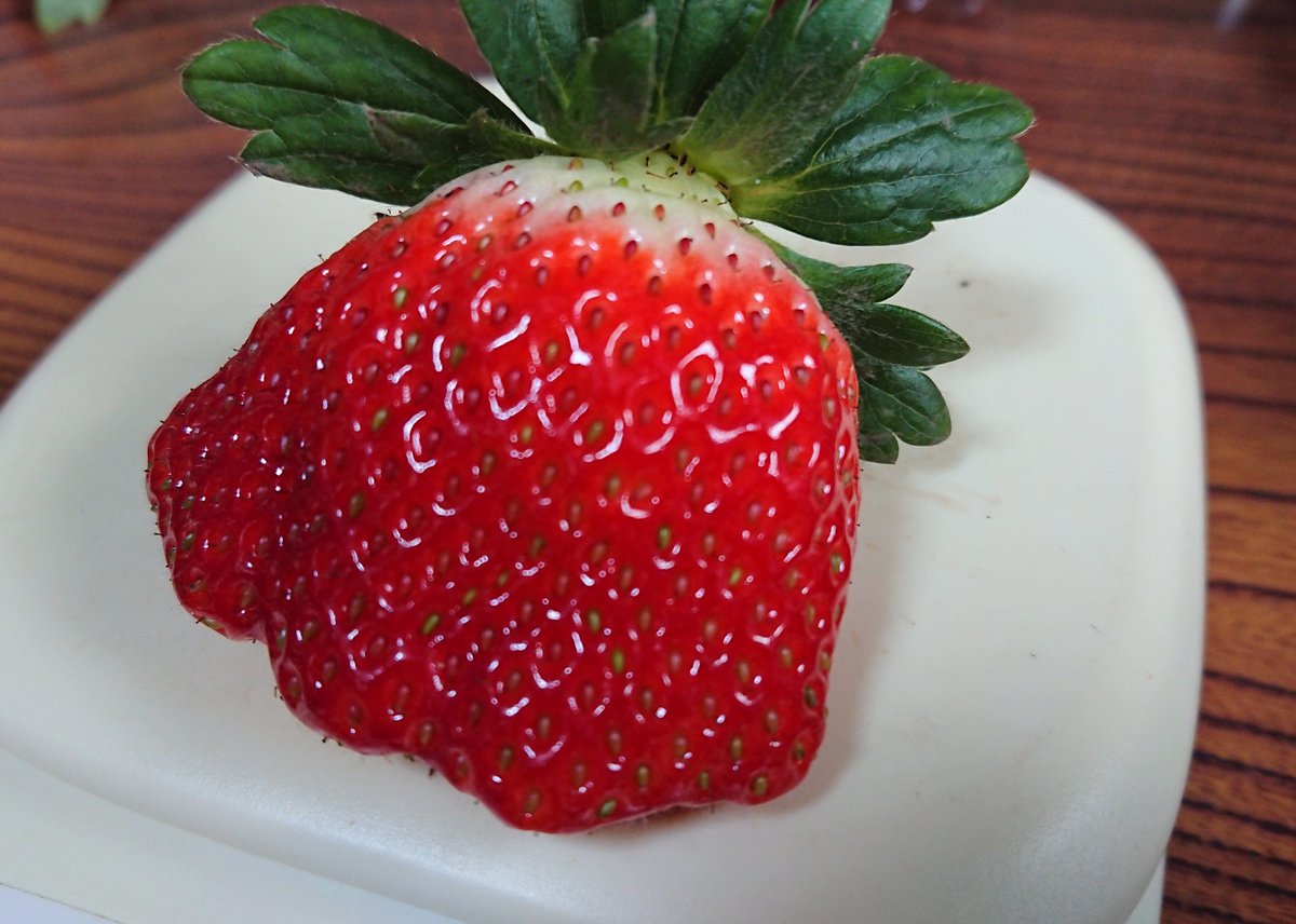 おっきくてごつごつの苺は 鶏冠果 といって甘くておいしい率が高いらしい Togetter
