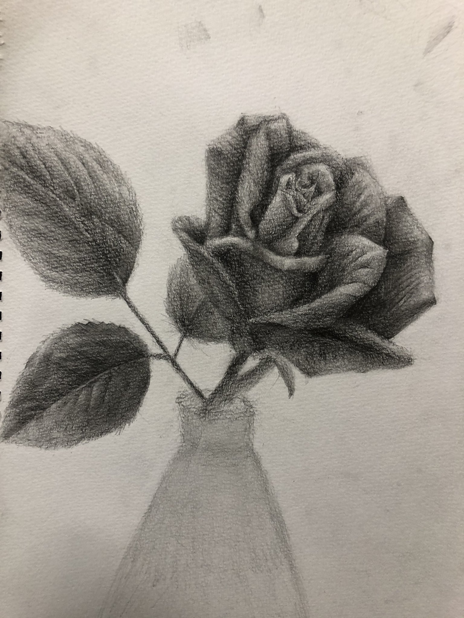 Art ある人の脳内 これが私の今の限界です 良くするために必要な事を教えてほしい 花 葉に関して デッサン 初心者 T Co Komnyviyhu Twitter