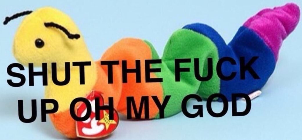ty beanie baby caterpillar