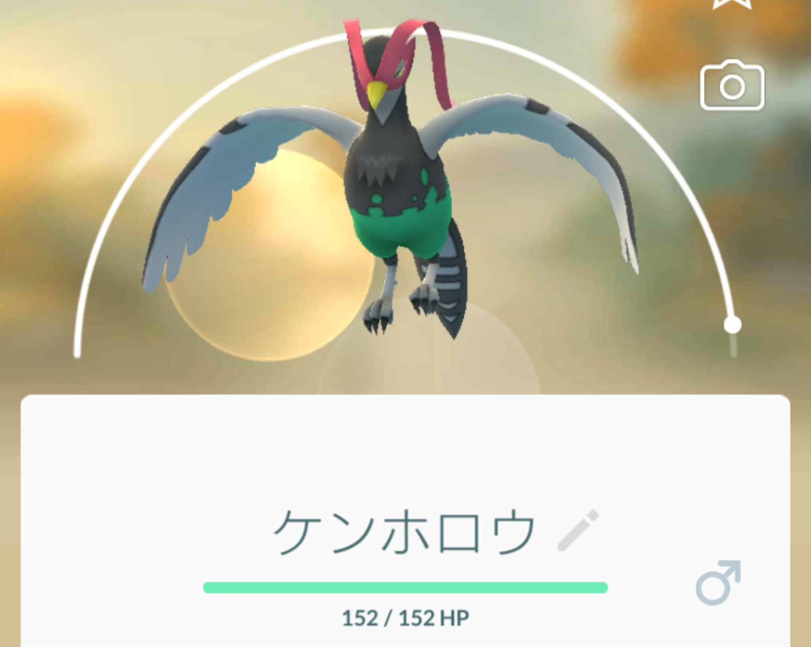 Mitsuki オブ Mitsuki Auf Twitter マメパトの最終進化は 断然オスがカッコいい ケンホロウ ポケモンgo