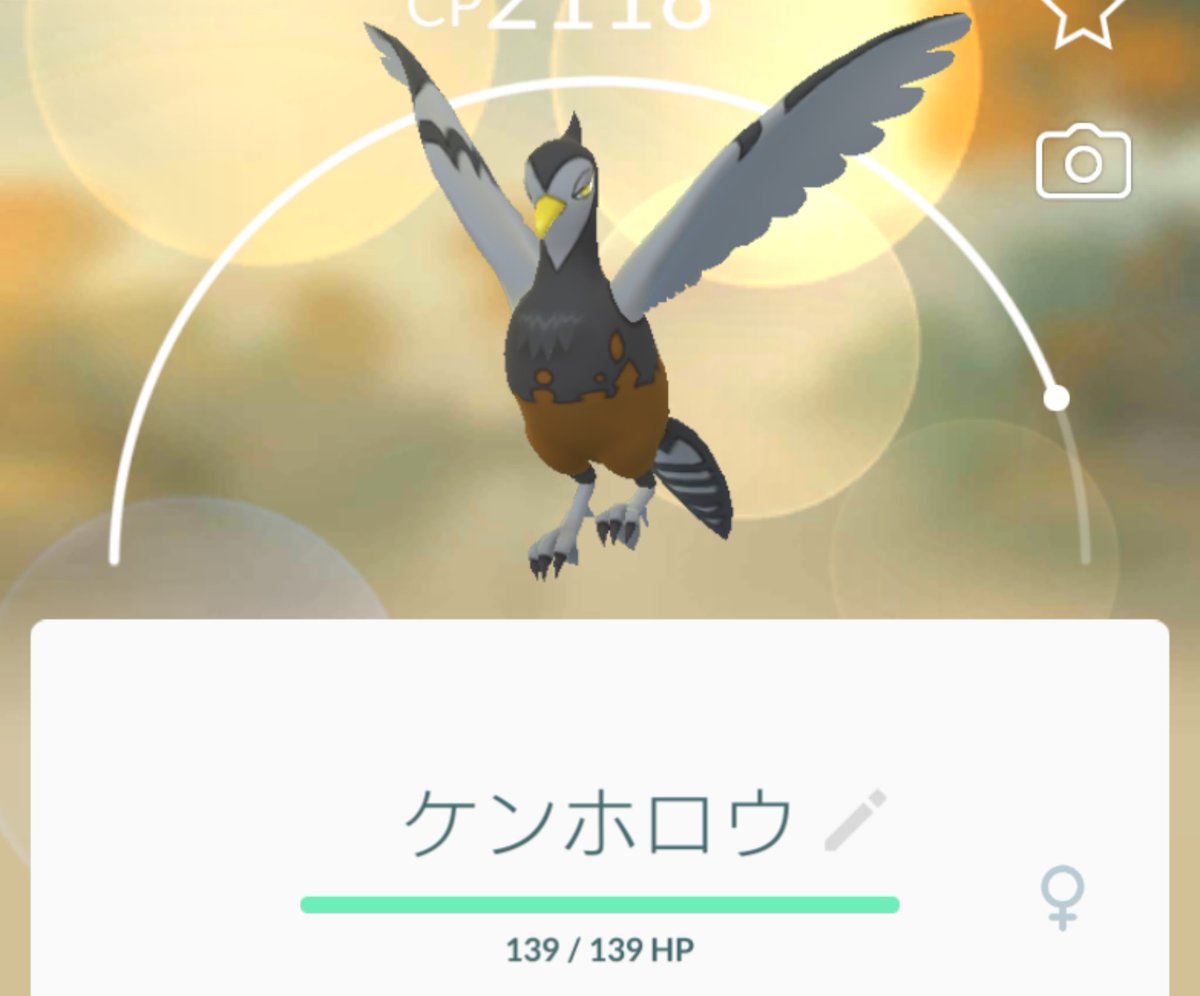 Mitsuki オブ Mitsuki Auf Twitter マメパトの最終進化は 断然オスがカッコいい ケンホロウ ポケモンgo