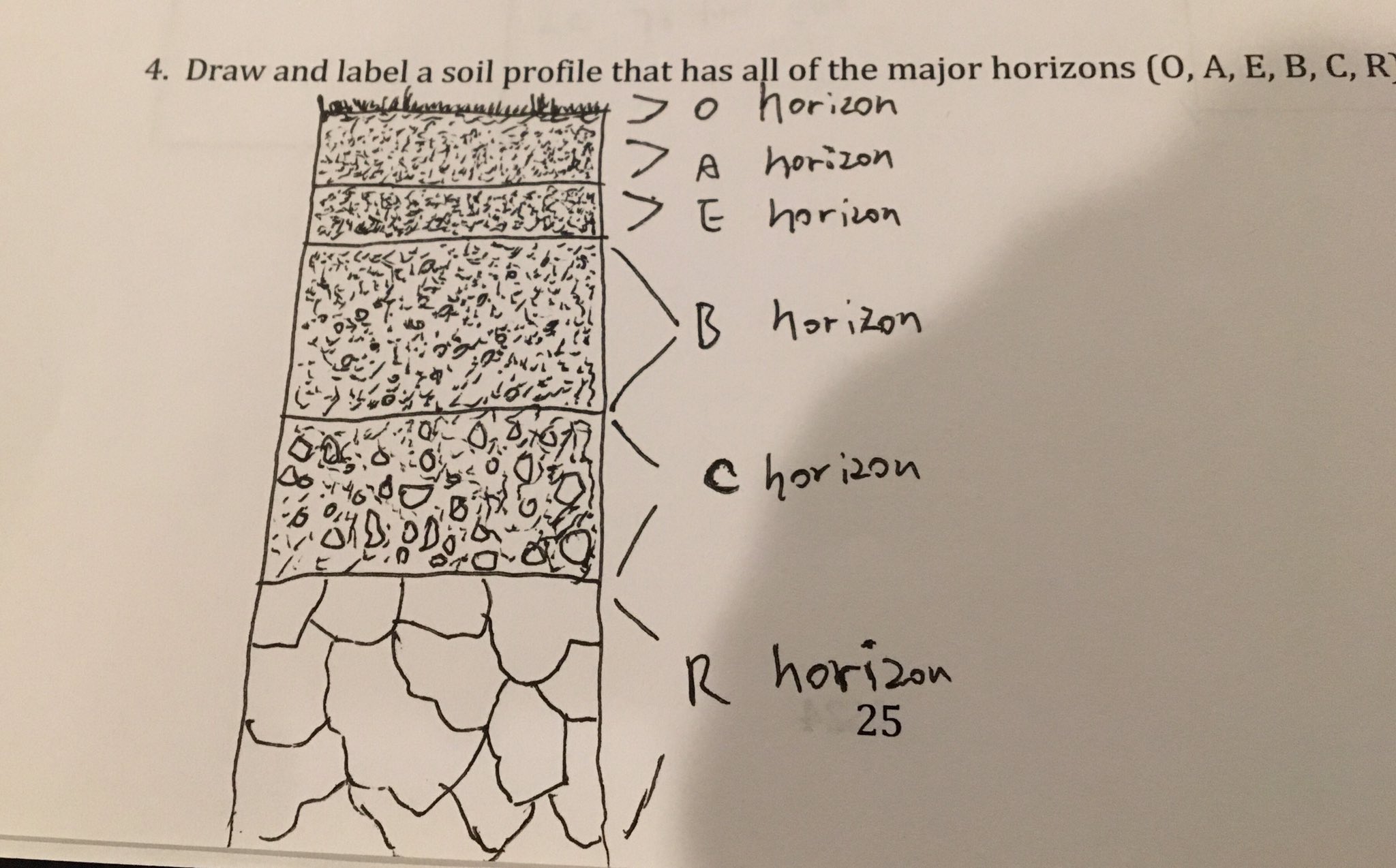 Image result for soil layers  Soil layers Soil Earth layers