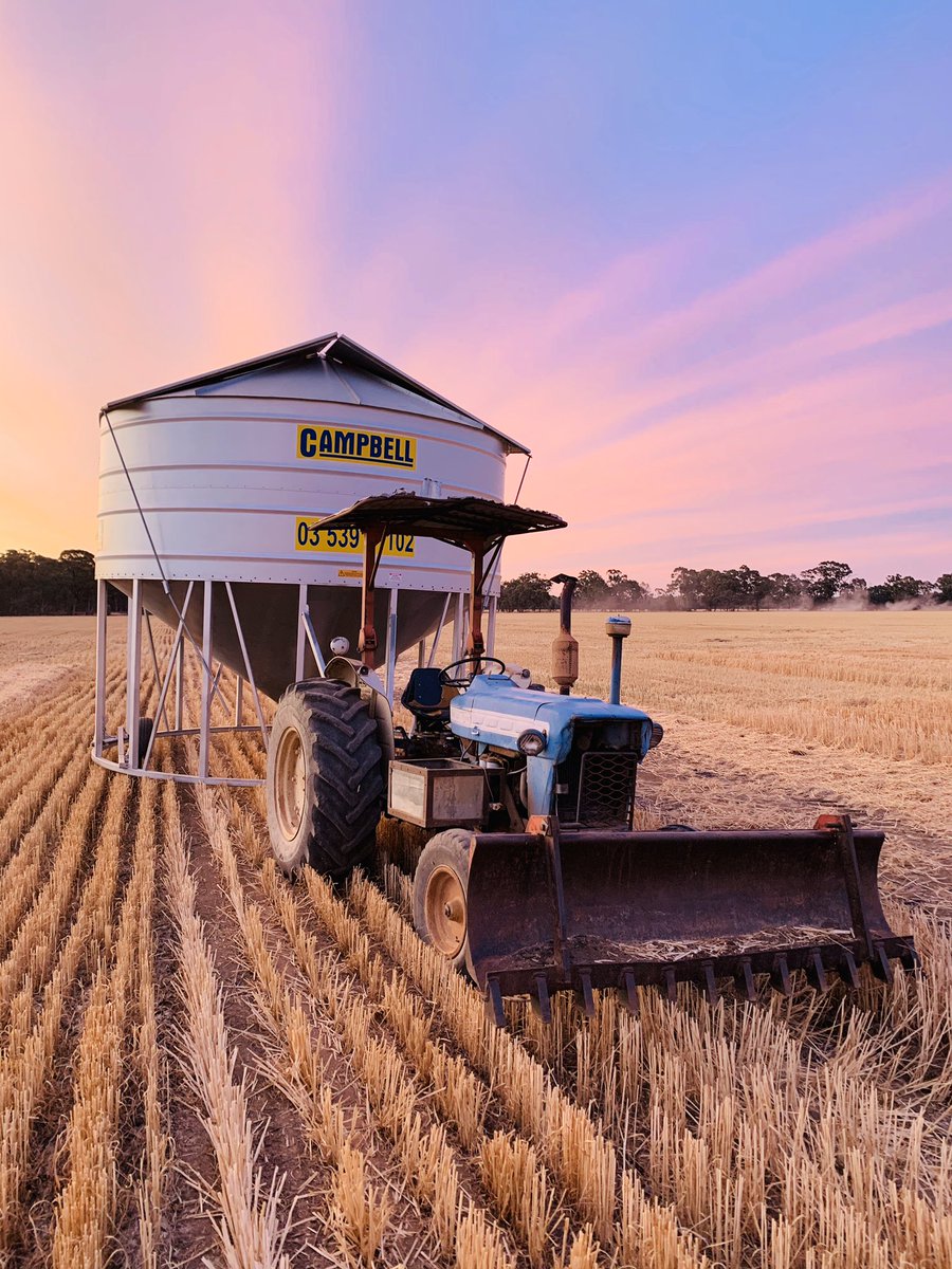 Nice evening for it #harvest19