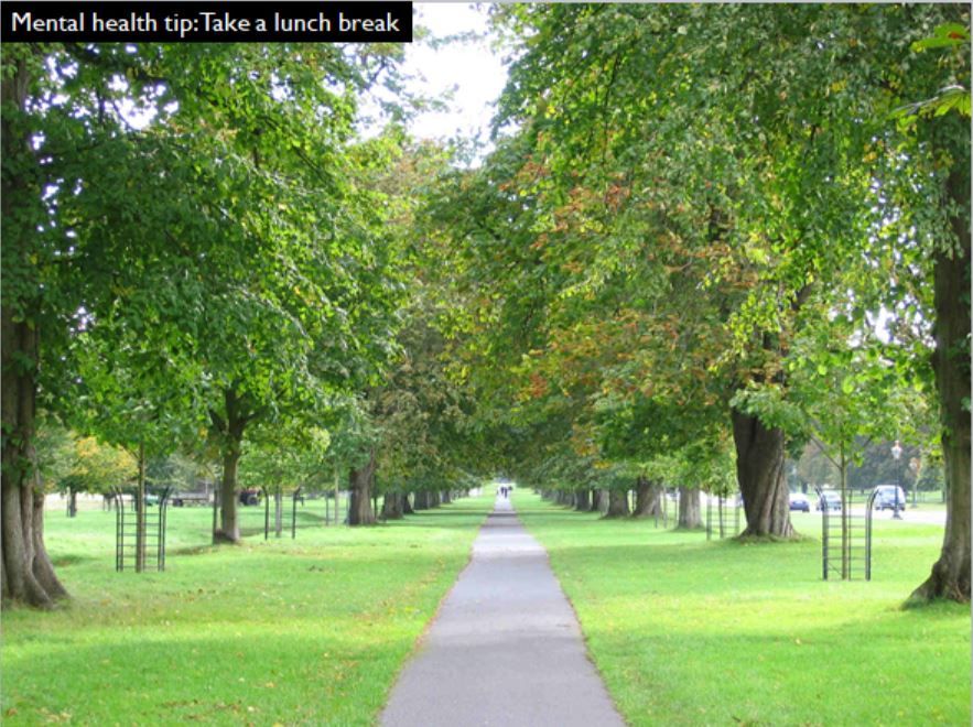#MentalHealth tip: Take a lunch break. Not an eating-at-your-desk lunch break. A proper break where you get away from your desk. Have a short walk outside. It will be good for your body and for your brain. #PhDforum #MRes #highered #PhDchat #postdoc