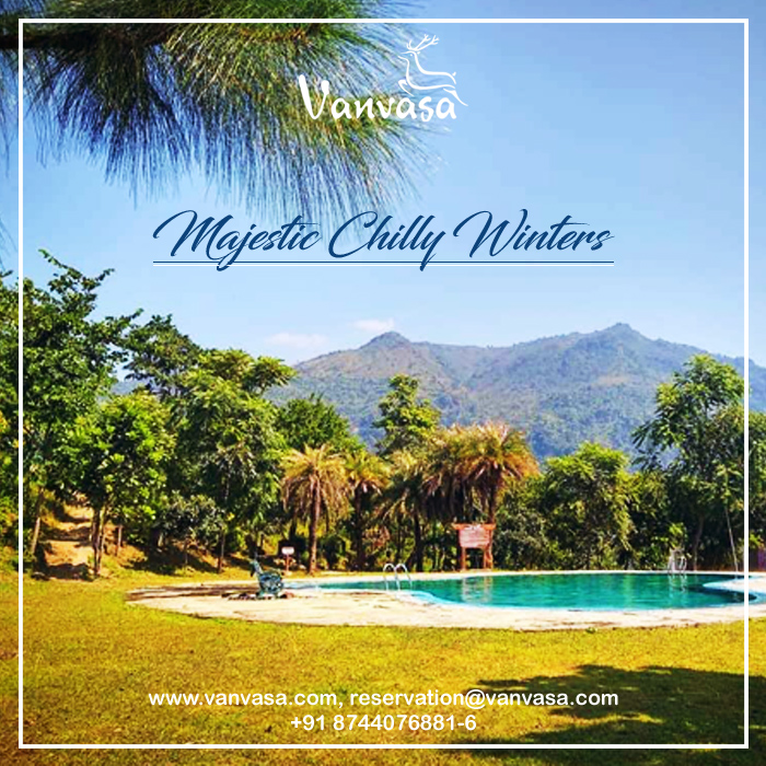 VanvasaR's tweet photo. This one is for nature lovers! Enjoy the chilly winters and luxuries in Vanvasa resort surrounded by natural beauty and mountains.
#photography #travel #christmas #mountains #adventure #vacation #fun #Luxury #Resort #Vanvasa
Visit : https://t.co/yyzqgzV0k5
Contact : 8744076881-6 https://t.co/HhV9j4fu1p