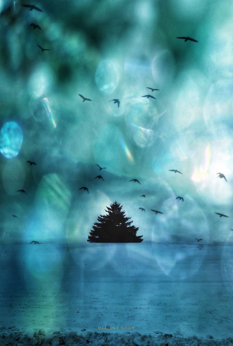 Darlena Moon On Twitter Cobalt Blues Milwaukee Wisconsin Scenery Winterwonderland