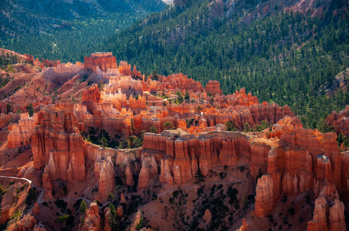 Equus Journeys tweet media