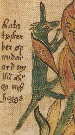 Is Ratatoskr a villain? It’s hard to say. Unintended harm is still harm. The squirrel’s name of ‘drill-tooth’ is equally ambivalent; is more damaged caused by chewing at Yggdrasil itself or by the false words which come with Ratatoskr’s chattering?