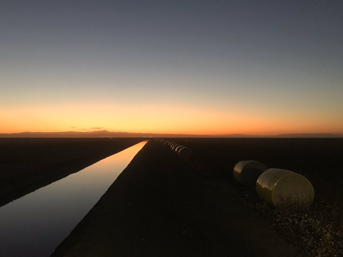 charlieblack31's tweet photo. Home bound after 7 weeks in the San Joaquin Valley of California. 
Great to experience such diverse agriculture, cotton modules as far as the eye can see, 20+ pickers in sight (70+ on ranch), horsepower overkill, CBD hemp and all the pickup trucks an Aussie can dream of! https://t.co/XxAa8897ip
