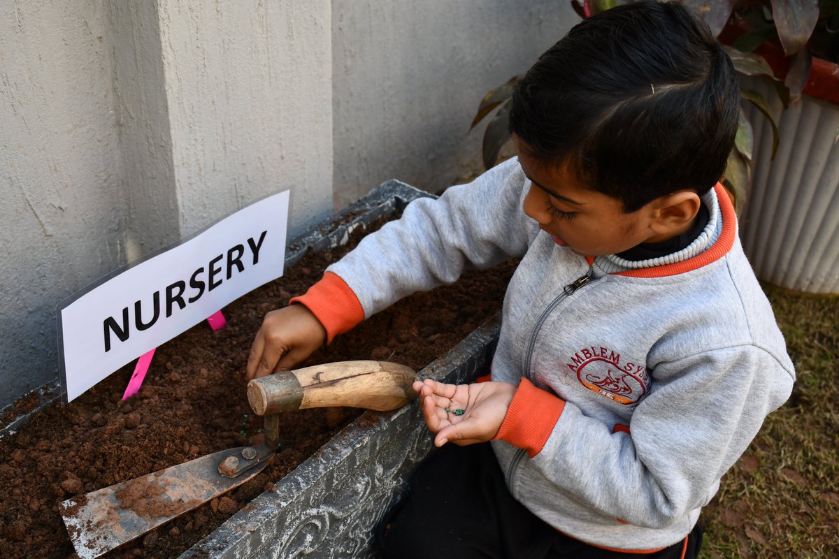 AmblemSystem's tweet photo. To inculcate the spirit of Environmental Purification, AMBLEM’s Young Stars learned to sow seeds in the
Plantation Activity.
#PlantationActivity #PreNursery #Nursery #KG #AMBLEMSCHOOLSYSTEM https://t.co/Eu2qpUQLFr