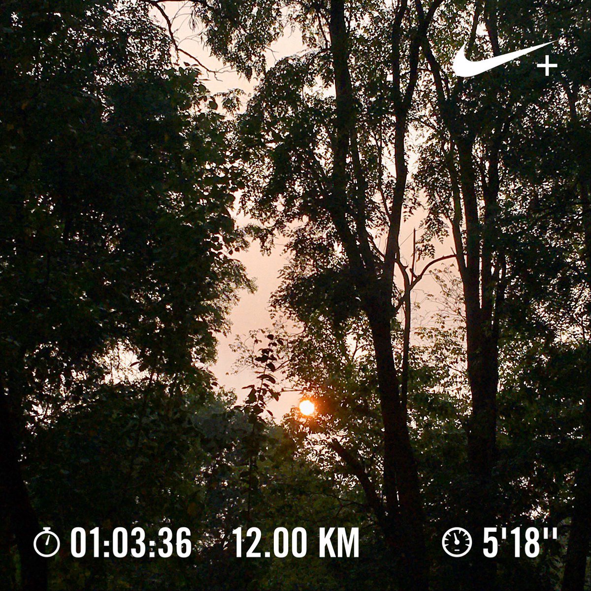 Nithin's tweet photo. 7:27 AM: 14 BPM HR based run. Probably my fastest pace for this HR. Even the beaten down #PegasusTurbo2 feel better than the #BrooksGhost12 🤦🏽♂️
#Runners360 #HRbasedrun #180method #MAFmethod #nike #nikeplus #nikerunning #nikerunclub #sunrise #nature #nofilter #werunkalabiragi https://t.co/G0zBGd6RdE