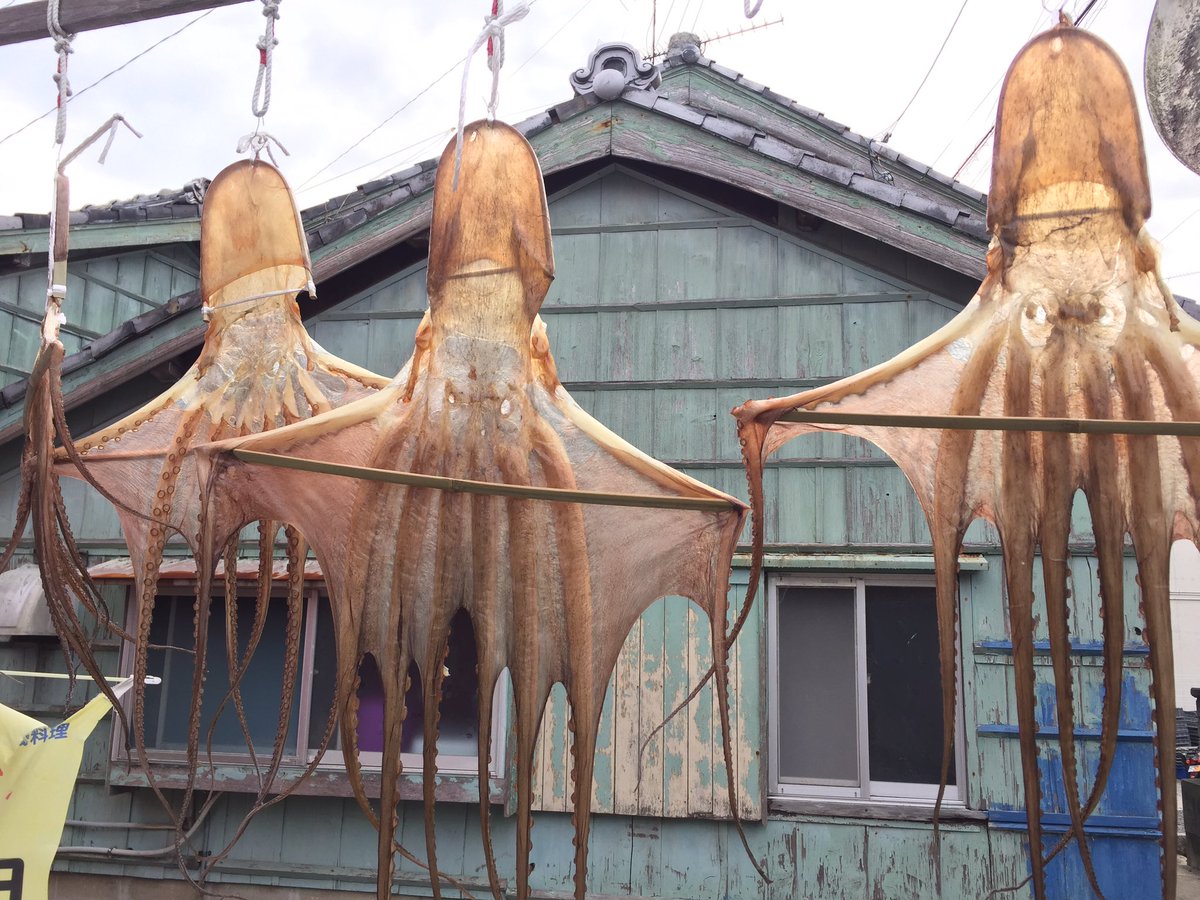 日間賀島の干物屋 Kaneto S Twitter
