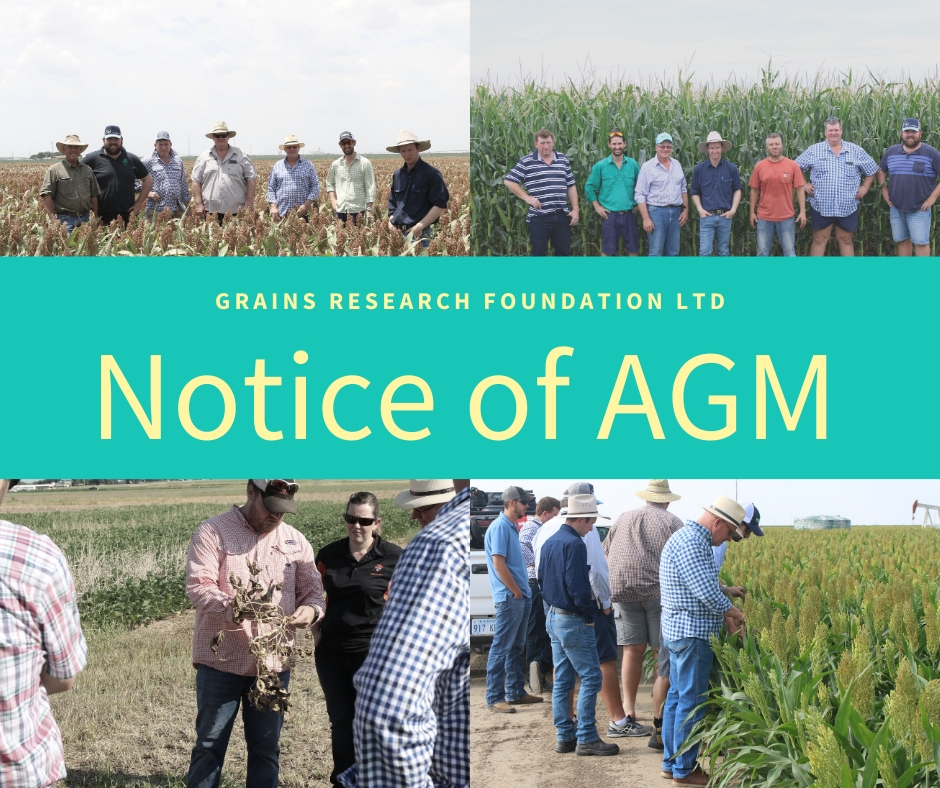 REMINDER: 2019 GRFL AGM TOMORROW - mailchi.mp/a1bd0883ec59/r…