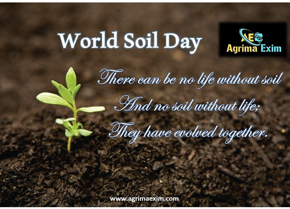 agrimaexim's tweet photo. 5 dec World soil day
#agrimaexim
#agrimaeximpvtltd #agrimaeximindia
#indiantraders
#exportspices
#agrimaeximproducts
#internationalexport
#worldsoilday
#bestexportcompany
#SoilDay
For more information our products and company info
visit our website 👇
https://t.co/GKdqFvKcD7 https://t.co/Ocwq9TUdH6