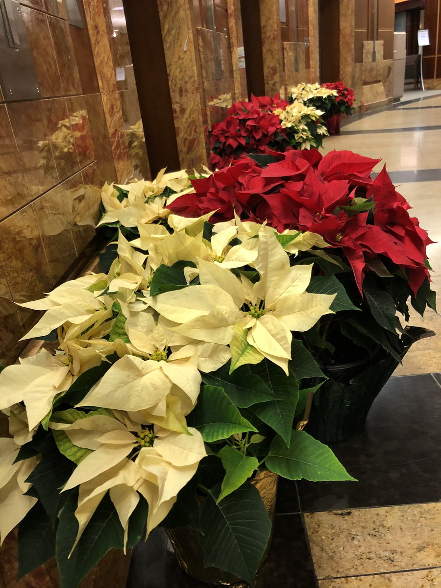 Debby Rogers tweet media