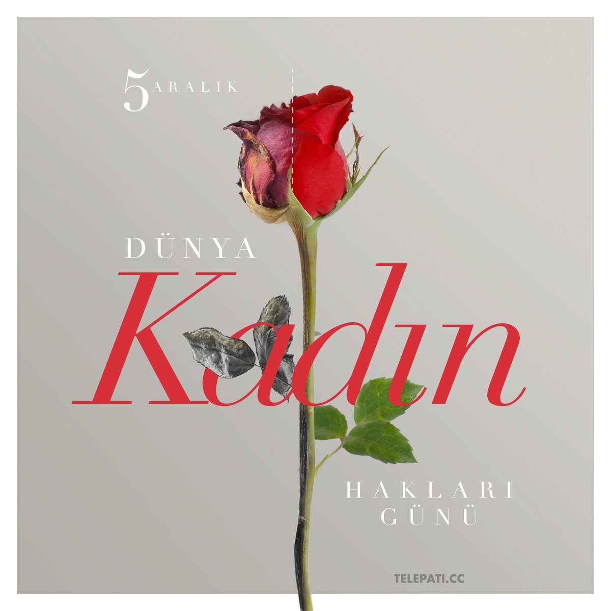 Cinsiyetler arası eşitlik; adil ve özgür bir dünyanın gereğidir.. 5 Aralık Dünya Kadın Hakları Günü Kutlu Olsun!
.
.
#kadınhakları #kadınhaklarıgünü #worldwomensrightsday #telepatitanitim