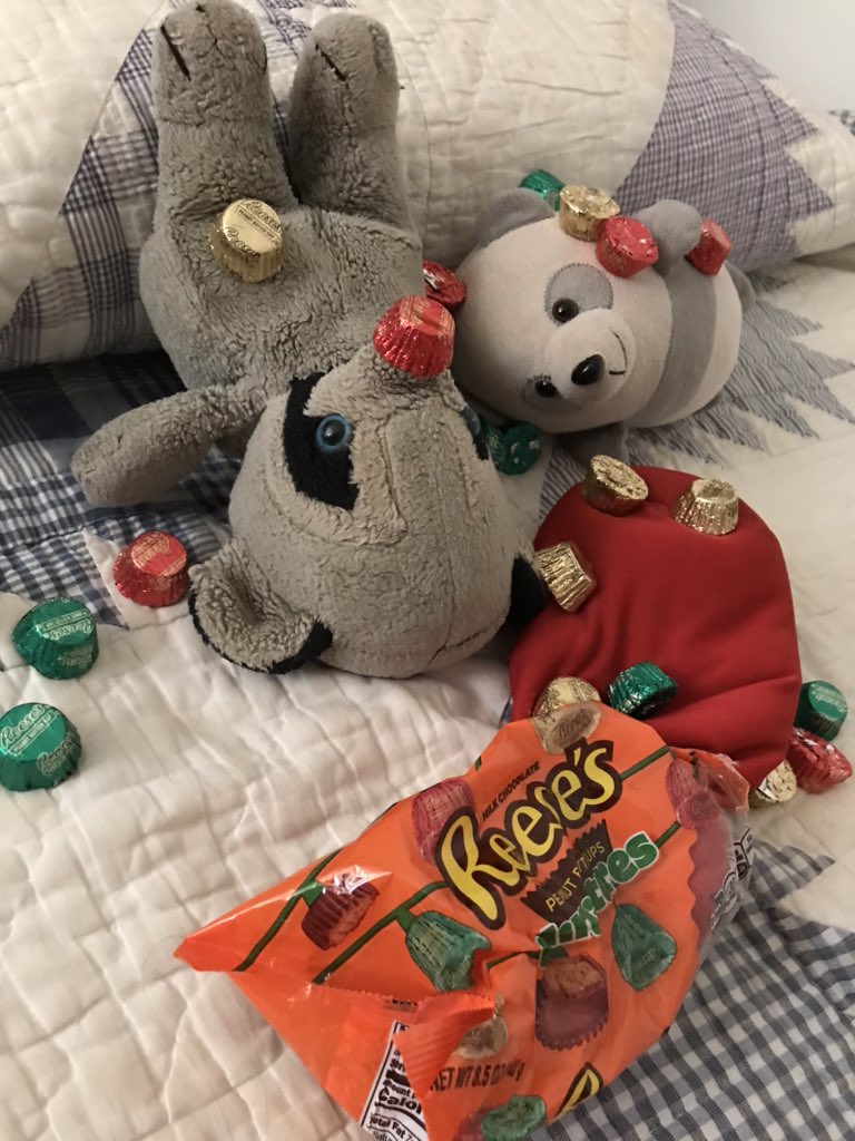 f_bearcoon's tweet photo. #Christmas came early... we found the last #secretstash of #Halloween #candy and it’s #reeses #peanutbuttercups https://t.co/PUbTL7876K