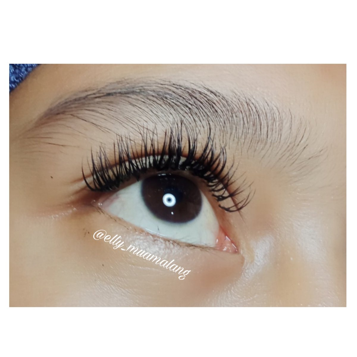 muamalang's tweet photo. @mbakul_malang @kampusub 
Eyelash Extension Malang
Bukan abal-abal.. 

80k saja

Contact person : 
Wa : 089 689 655 822
Ig : @elly_muamalang

#eyelashmalang #tanambulumatapalsu #eyelashextension #tanambulumatamurah #koreaneyelashextension https://t.co/X98NV9Lcwz