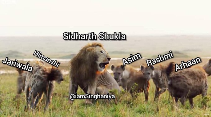 Real_Divyesh's tweet image. One man Army..
@RealVinduSingh @Devoleena_23 @iamkamyapunjabi @BiggBoss @HerdHUSH @sidharth_shukla 

#KeepGoingSidharthShukla 
#KeepGoingSidShukla 
#EvictHatemongerAsim