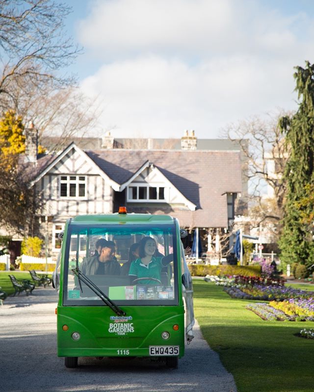 CHCAttractions's tweet photo. For the garden lovers in the family, treat them to a ride on our Botanic Gardens Tour over the summer break! Explore the hidden gems of the gardens and have all your burning questions answered by our expert guides. 🌿

#christchurchbotanicgardens #botanicgardenstour #myiconicchch https://t.co/sZ0JkJ6CE0