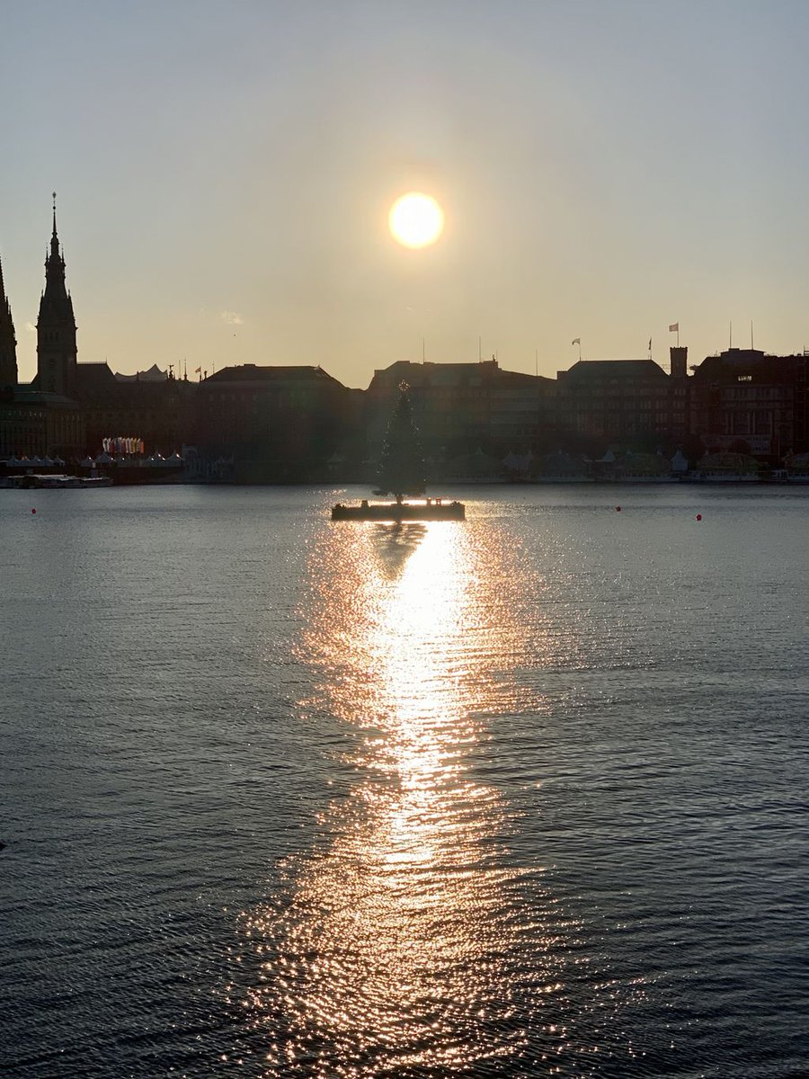 Tanne auf der Alster #hamburg #wirsindhamburg #alster #hamburgmeineperle #welovehamburg #ilovehamburg #welovehh #wearehh #germany 🇩🇪 #de #ilovehh #hh 

🙋🏽‍♂️👨‍👩‍👦‍👦👨🏽‍💻👨🏽‍🔧⛹🏽‍♂️⛵️ Netzleiter.com ITN.hamburg Twitter: @inffo @netzleiter